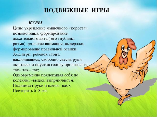 Презентация по теме "Домашние птицы",направленная на развитие двигательной активности дошкольников 5-6 лет