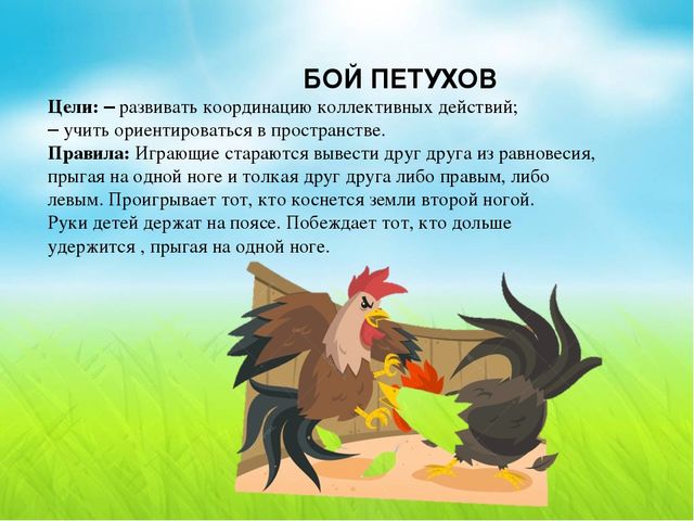 Презентация по теме "Домашние птицы",направленная на развитие двигательной активности дошкольников 5-6 лет