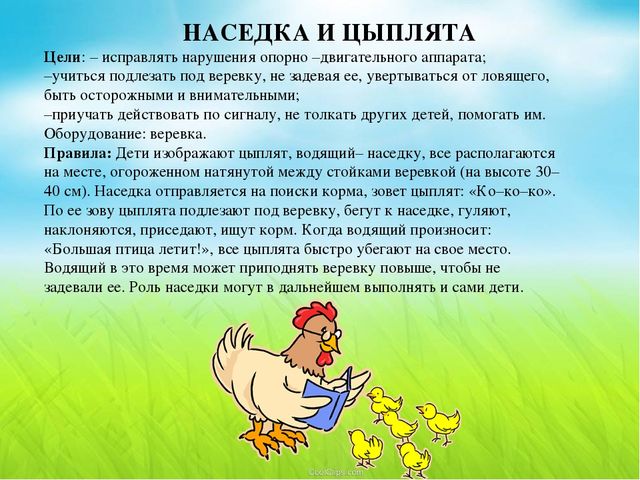 Презентация по теме "Домашние птицы",направленная на развитие двигательной активности дошкольников 5-6 лет