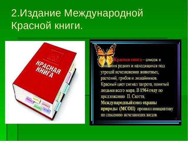 Презентация по образовательной области "Познавательное развитие" на тему "Сохраним природу вместе"