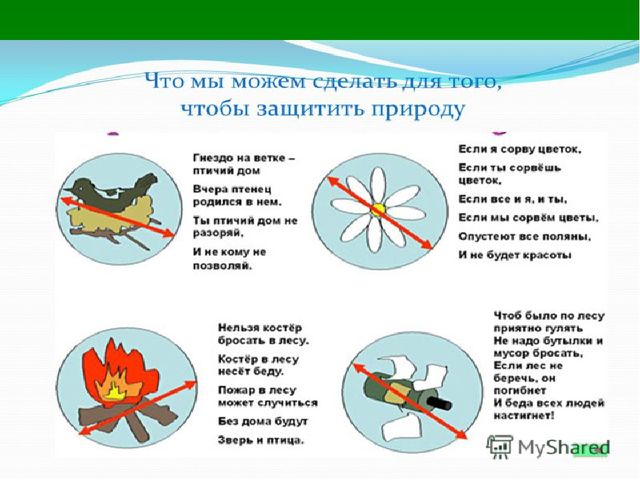 Презентация по образовательной области "Познавательное развитие" на тему "Сохраним природу вместе"