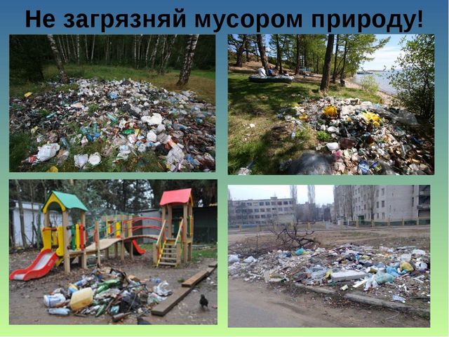 Презентация по образовательной области "Познавательное развитие" на тему "Сохраним природу вместе"