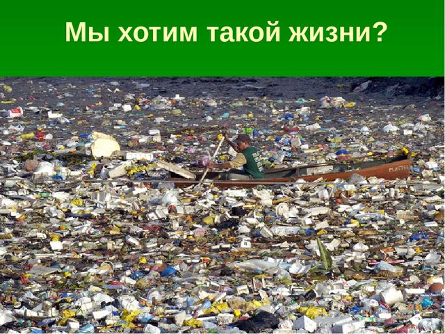 Презентация по образовательной области "Познавательное развитие" на тему "Сохраним природу вместе"