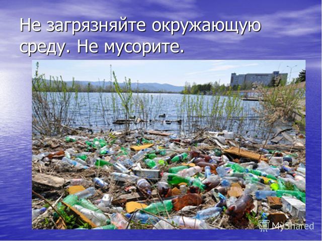Презентация по образовательной области "Познавательное развитие" на тему "Сохраним природу вместе"