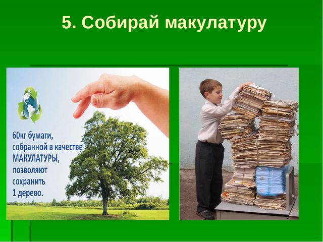 Презентация по образовательной области "Познавательное развитие" на тему "Сохраним природу вместе"