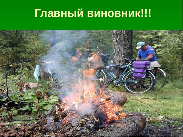 Презентация по образовательной области "Познавательное развитие" на тему "Сохраним природу вместе"