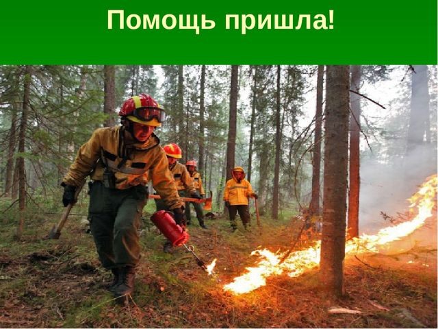 Презентация по образовательной области "Познавательное развитие" на тему "Сохраним природу вместе"