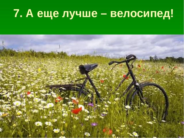 Презентация по образовательной области "Познавательное развитие" на тему "Сохраним природу вместе"