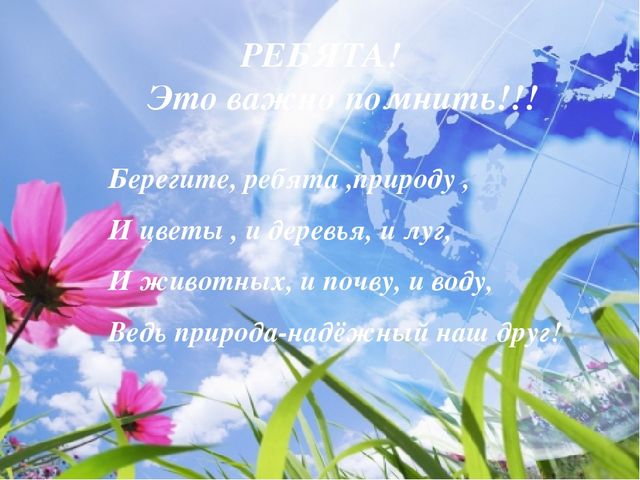 Презентация по образовательной области "Познавательное развитие" на тему "Сохраним природу вместе"
