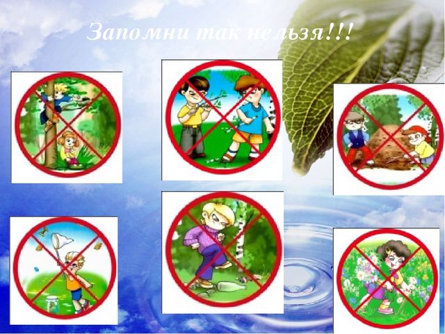 Презентация по образовательной области "Познавательное развитие" на тему "Сохраним природу вместе"