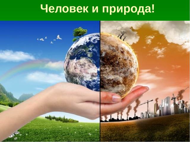 Презентация по образовательной области "Познавательное развитие" на тему "Сохраним природу вместе"