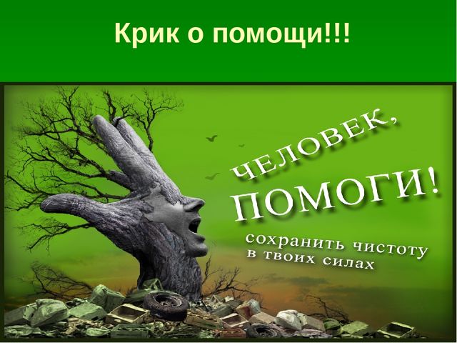 Презентация по образовательной области "Познавательное развитие" на тему "Сохраним природу вместе"