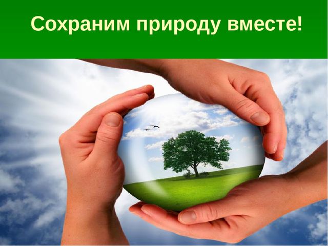 Презентация по образовательной области "Познавательное развитие" на тему "Сохраним природу вместе"