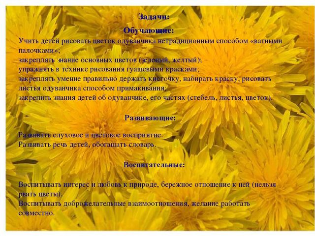 Презентация НОД по "Художественно-эстетическому развитию" (рисование) на тему: "Носит одуванчик желтый сарафанчик"