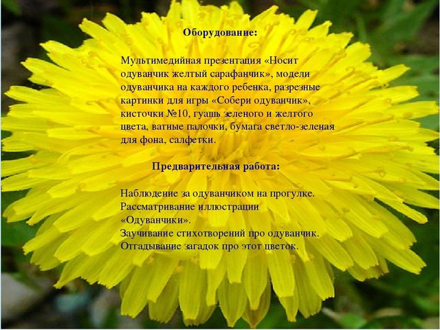 Презентация НОД по "Художественно-эстетическому развитию" (рисование) на тему: "Носит одуванчик желтый сарафанчик"
