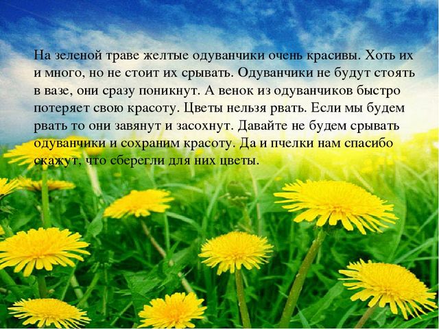 Презентация НОД по "Художественно-эстетическому развитию" (рисование) на тему: "Носит одуванчик желтый сарафанчик"