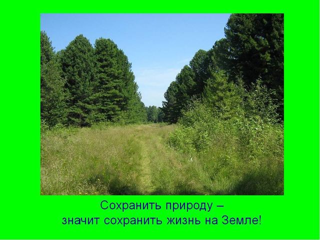 Презентация "Сохраним природу вместе"