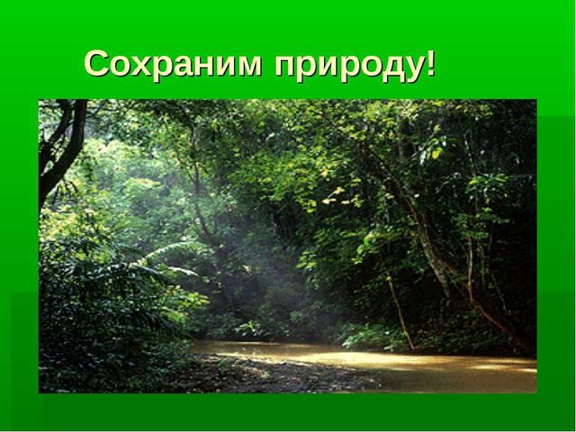 Презентация "Сохраним природу вместе"