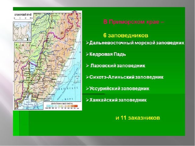 Презентация "Сохраним природу вместе"