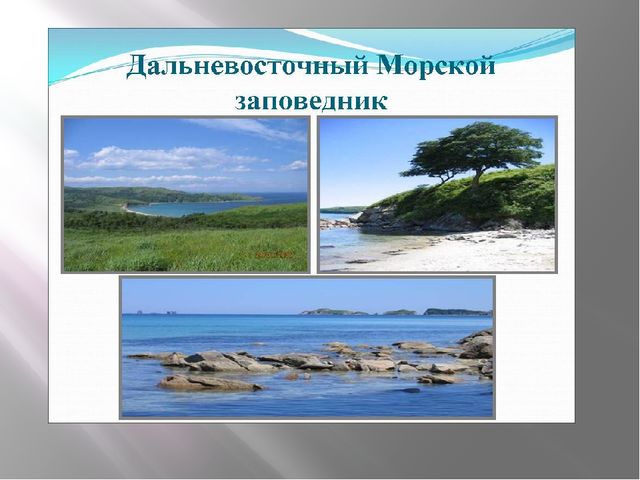 Презентация "Сохраним природу вместе"