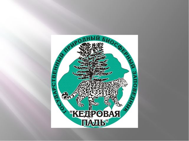 Презентация "Сохраним природу вместе"