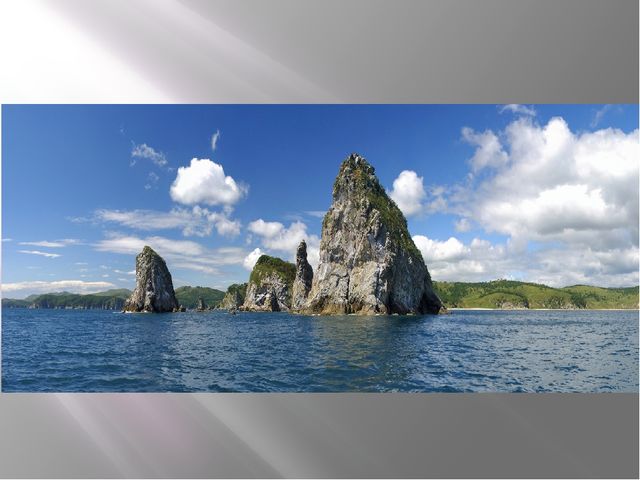 Презентация "Сохраним природу вместе"