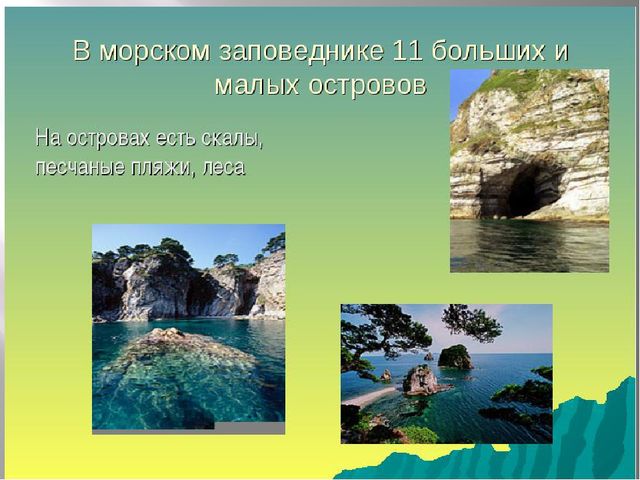 Презентация "Сохраним природу вместе"