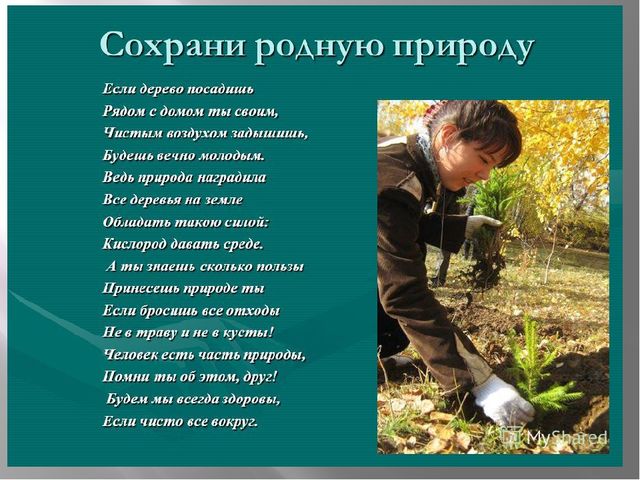 Презентация "Сохраним природу вместе"