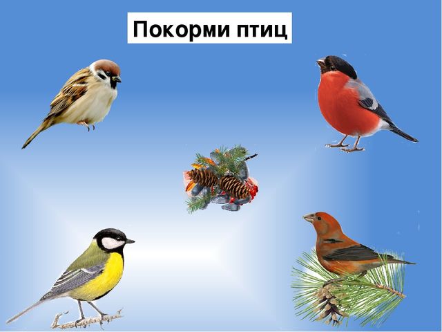 Презентация на тему : "Животные и птицы зимой"