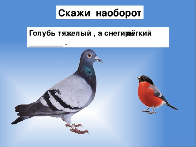 Презентация на тему : "Животные и птицы зимой"