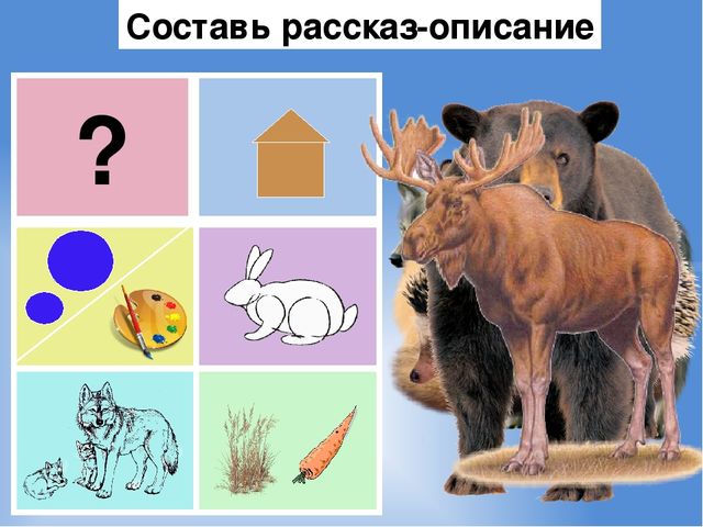 Презентация на тему : "Животные и птицы зимой"
