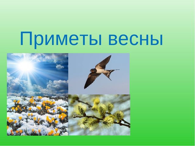 К занятию "Познание"Презентация "Приметы весны"