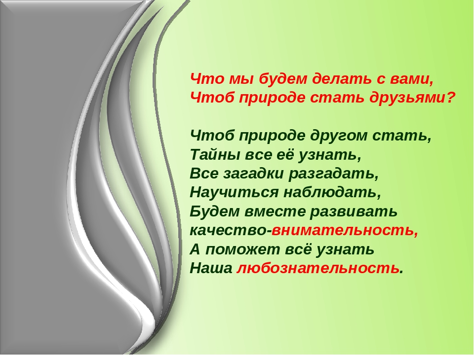 Презентация по окружающему миру"Берегите лес"
