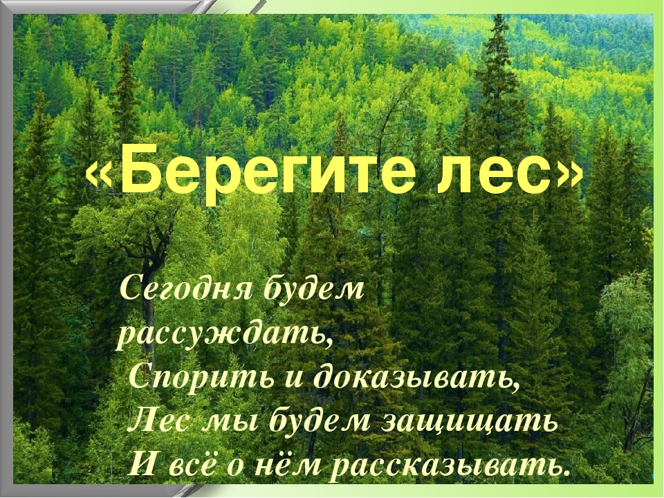 Презентация по окружающему миру"Берегите лес"