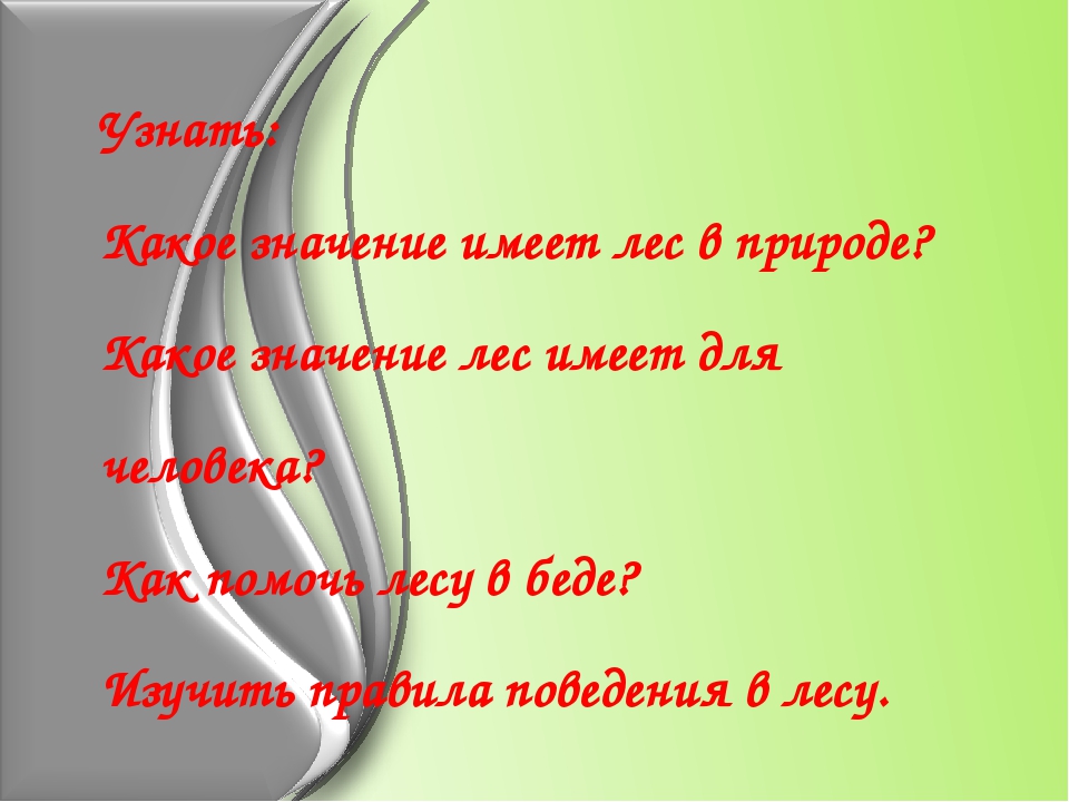 Презентация по окружающему миру"Берегите лес"