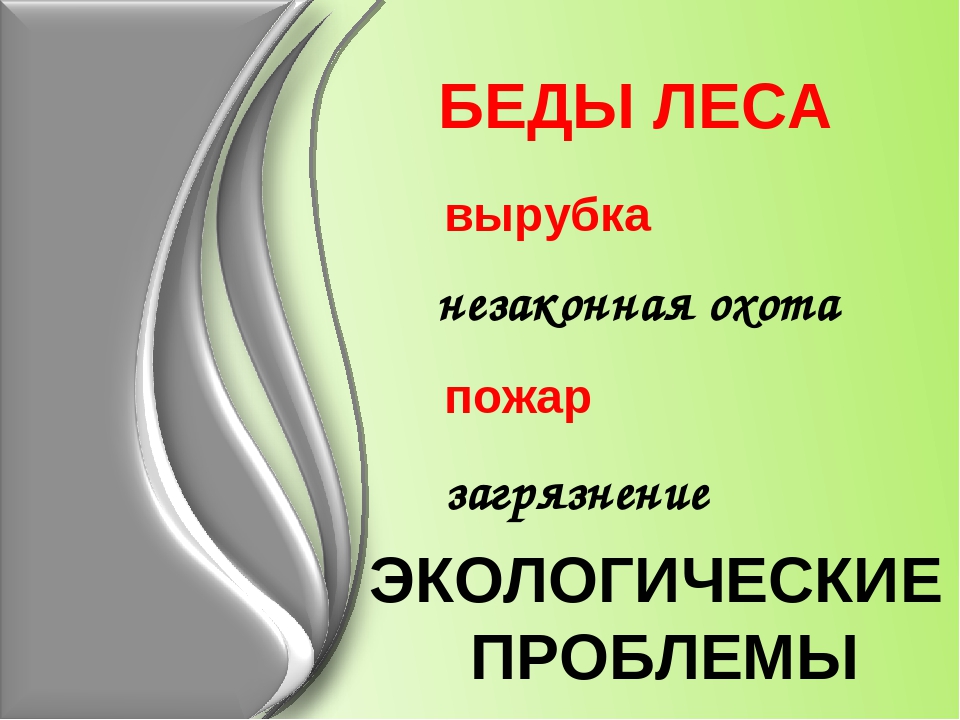 Презентация по окружающему миру"Берегите лес"