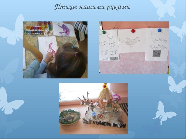 Презентация на тему: "Птицы - наши друзья".