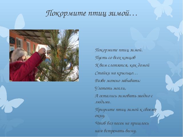 Презентация на тему: "Птицы - наши друзья".