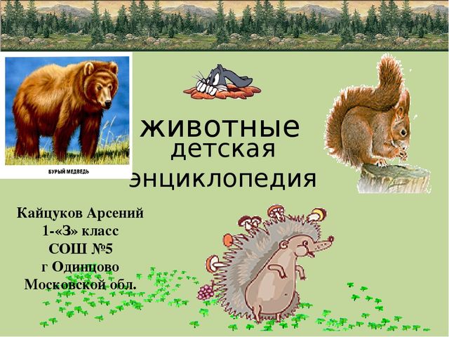 Презентация по природе "животные"