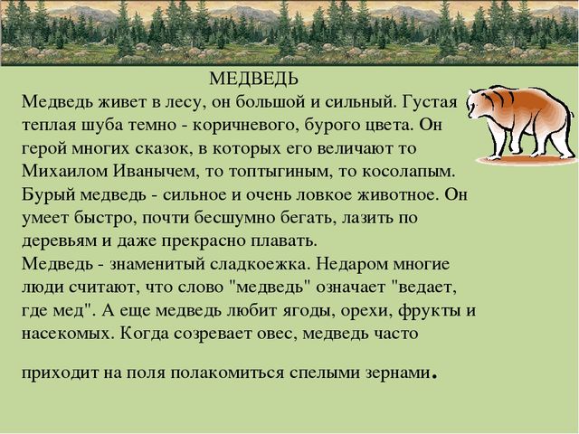 Презентация по природе "животные"