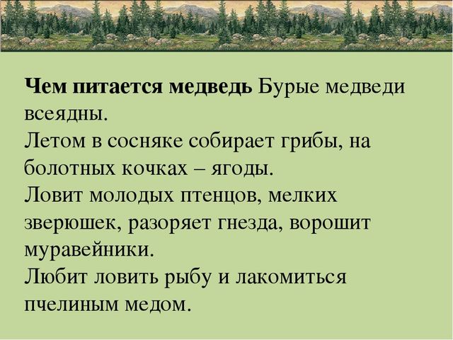 Презентация по природе "животные"