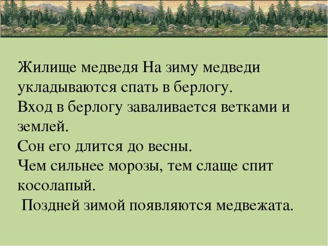 Презентация по природе "животные"