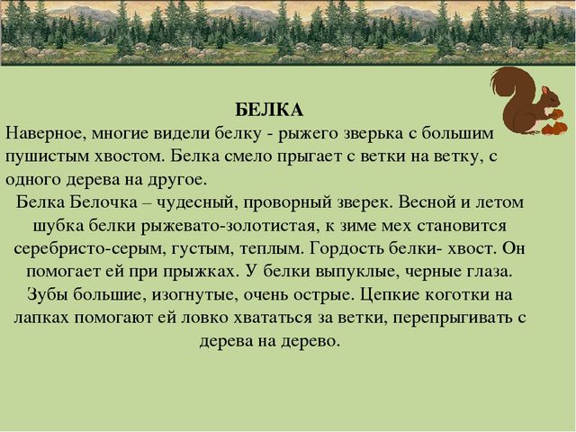 Презентация по природе "животные"