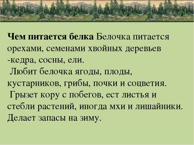 Презентация по природе "животные"