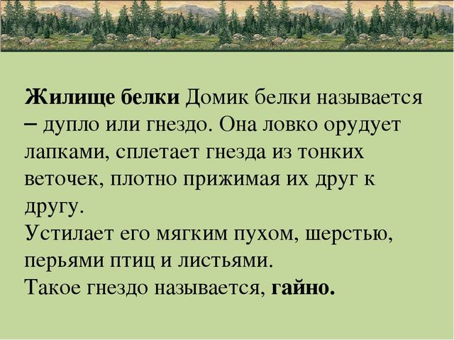 Презентация по природе "животные"