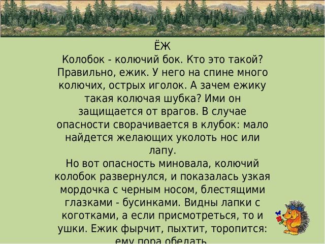 Презентация по природе "животные"