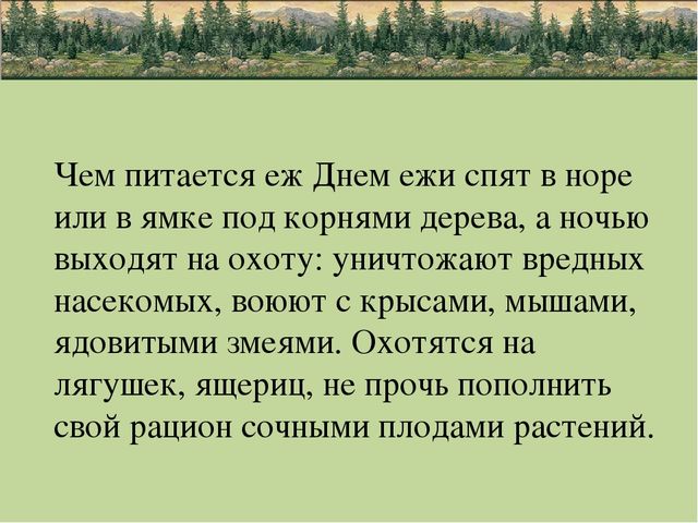 Презентация по природе "животные"