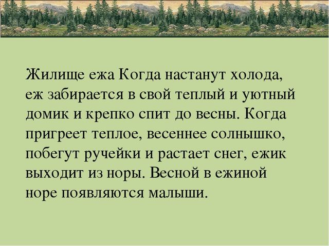 Презентация по природе "животные"