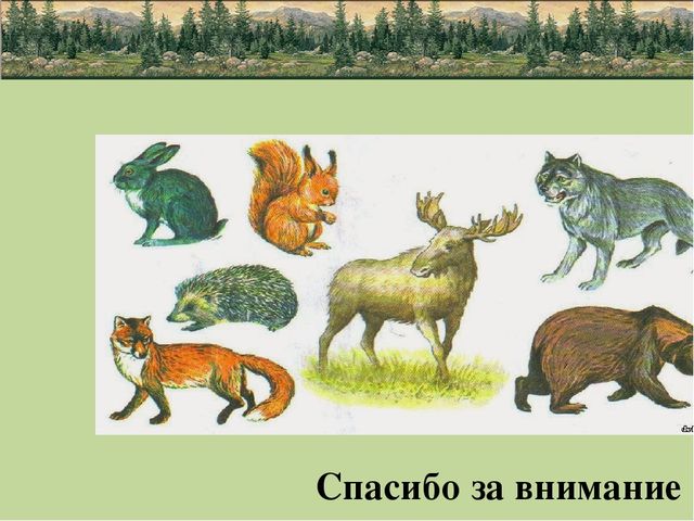 Презентация по природе "животные"