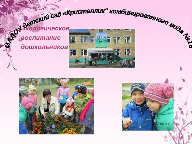 Презентация "Экологическое воспитание дошкольников"